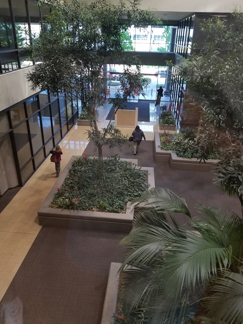 Simplywise Social Security Offices In Jackson Mississippi